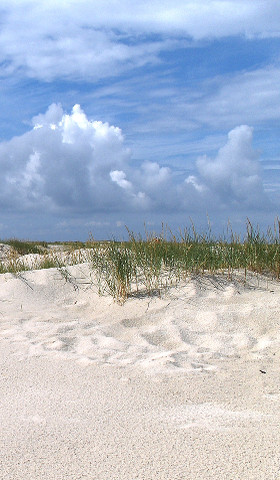 Zahnarztpraxis Ostsee - Carsten Bühre, Zahnarzt Scharbeutz